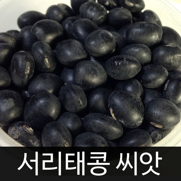 black bean seed (30g)