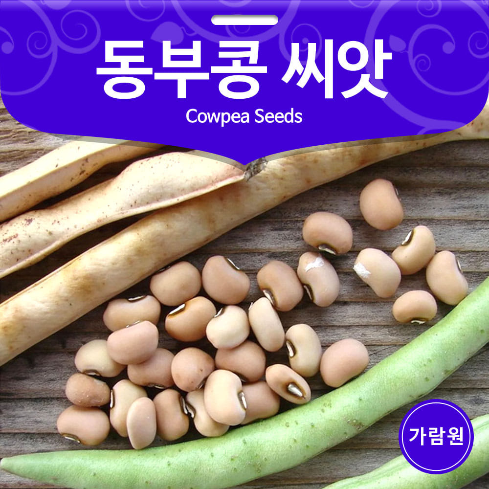cowpea seed (30g)
