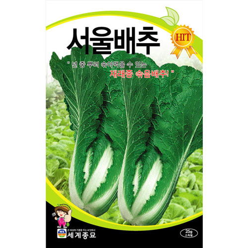 korean cabbage seed  ( 20g )