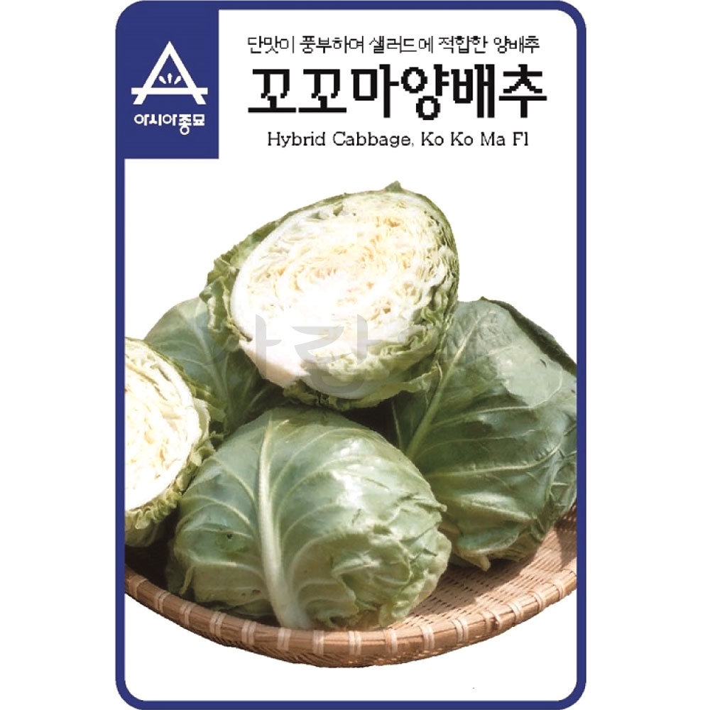 small cabbage seed ( 100 seeds )