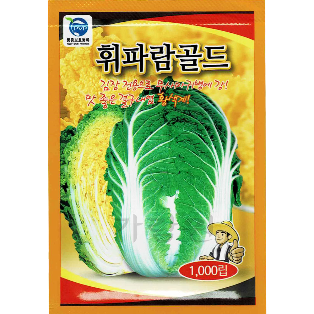 gold cabbage seeds ( 1000 seeds )