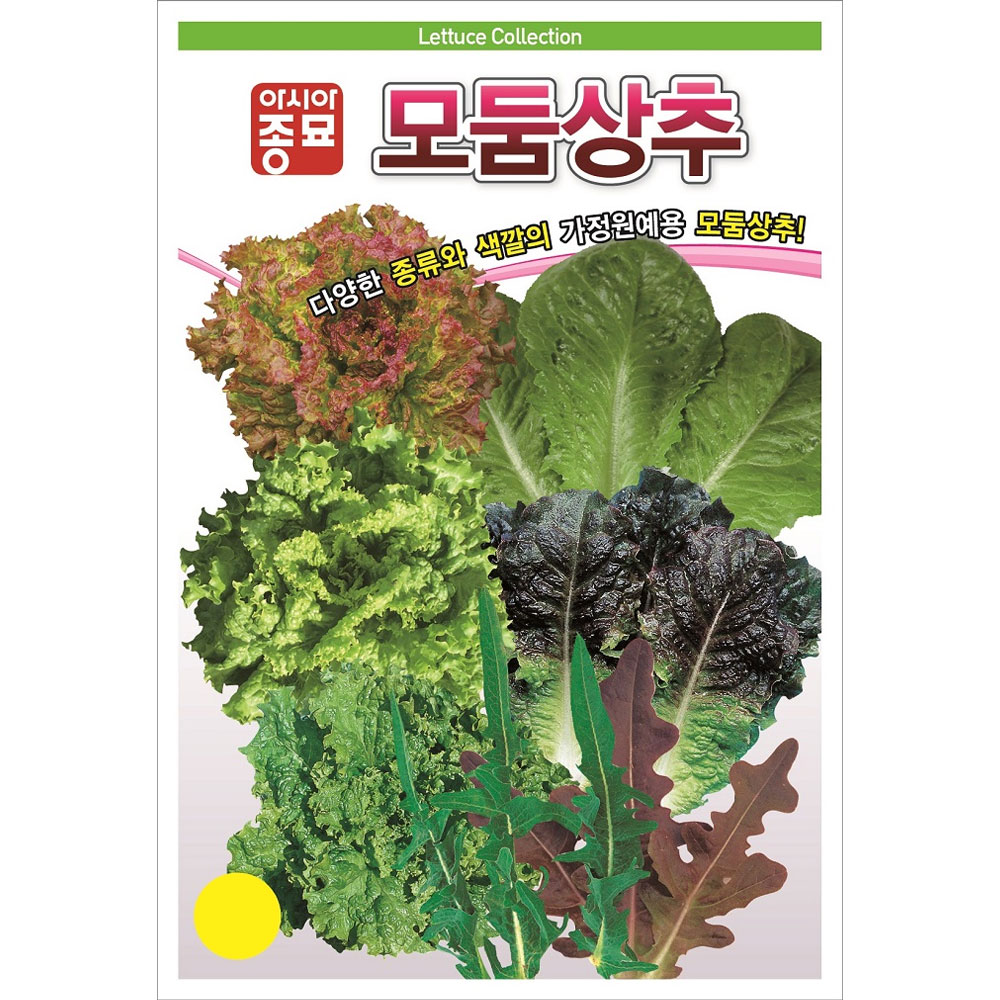 mix lettuce seed ( 1500 seeds )