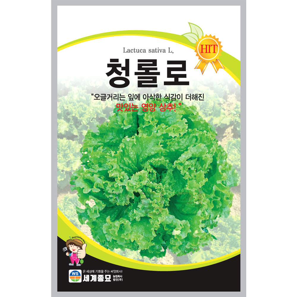 green lettuce seed  ( 3000 seeds )