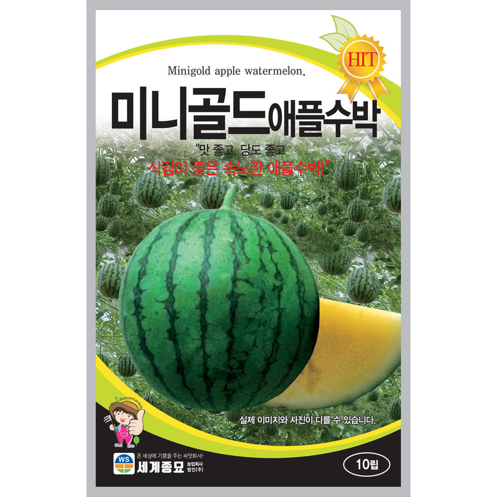 yellow watermelon seed ( 10 seeds )